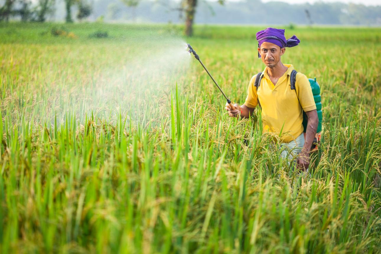 Herbicide Spray